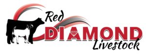 RDL Official Logo